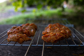 Close-up of kebab meat pieces lying on the grate, barbecue padding
