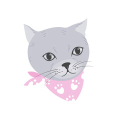 Cute cat with scarf isolated in flat vector.