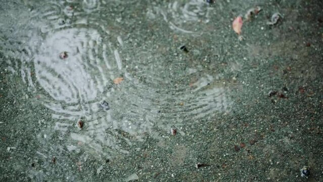 梅雨、砂利の地面の水たまりに雨の水滴が落ちて波紋を残す　