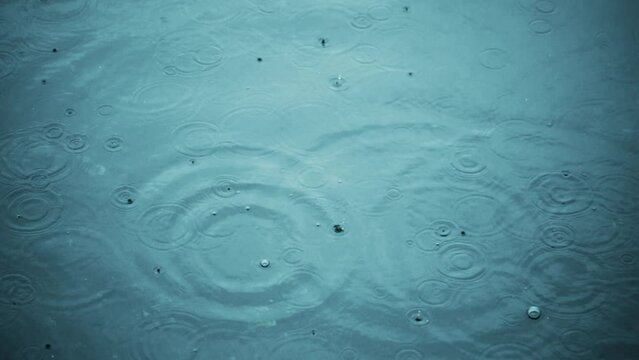 梅雨、海の入り江、水たまりに雨の水滴が落ちて波紋を残すスローモーション