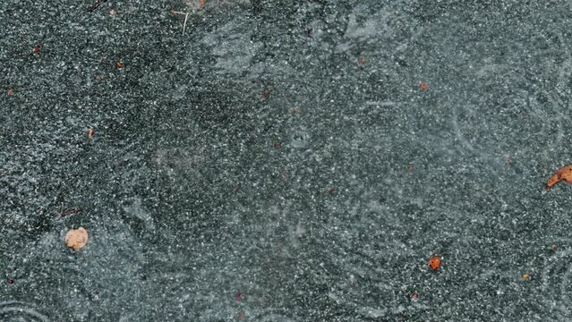 梅雨、砂利の地面の水たまりに雨の水滴が落ちて波紋を残す