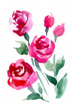 Hand-drawn rosebuds for invitation design, templates. Bouquet of watercolor roses on a white background.