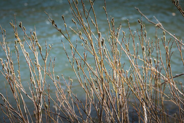 어느봄날의 동강풍경
