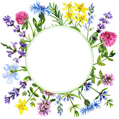 watercolor design with medicinal plants, floral round frame, color drawing herbs at white background