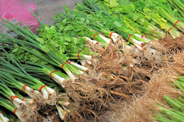 Onion - parsley, food street market in Bangkok, Thailand
