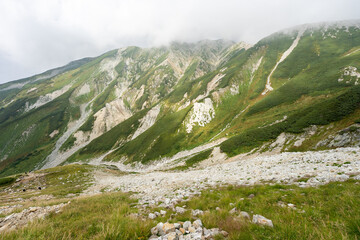 立山の緑が綺麗な景色
