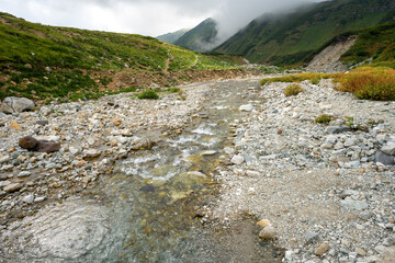 山の中を流れる綺麗な川
