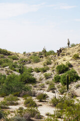 Papagos Park Phoenix, Arizona