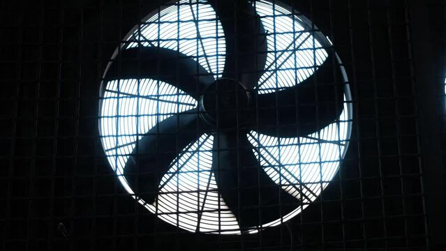 Huge industrial fan spins around behind iron mesh. Process of working cooling ventilation system in factory building for reducing heat during work closeup