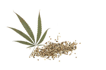 Hemp seeds with cannabis plant leaf on white