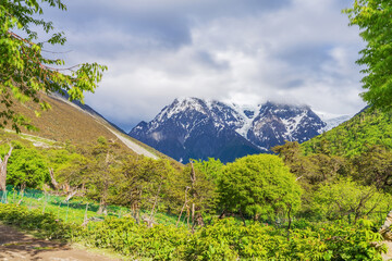 The natural beauty of the forest park and Meili Snow Mountain in Nyingchi, Tibet, China