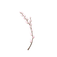 Spring pussy willow branch watercolor isolated on white. Hand drawn illustration. Art for design