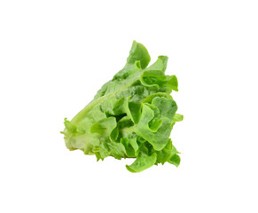 Salad leaf. Lettuce isolated on transparene   png