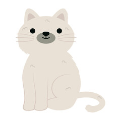 cute little cat
