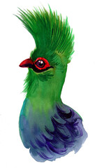 Green bird head. Ink and watercolor drawing