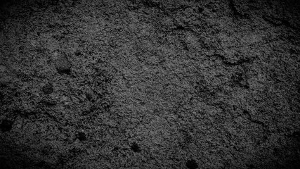 Cement old wall texture dark black white background. Light abstract gray color design with white gradient background.