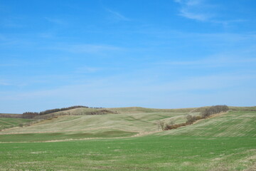 Obraz premium Meadow under blue sky in Hokkaido