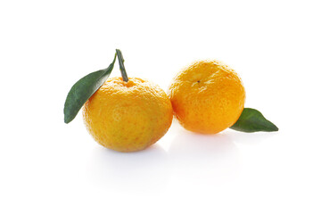 raw fresh tangerine oranges isolated on a white background