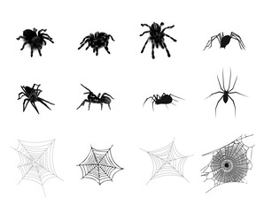 Collection of spiders and webs for web icons or posters halloween