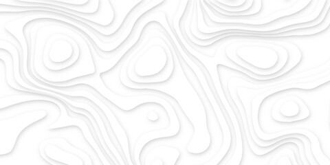 Abstract wavy line 3d paper cut white background. Topographic canyon geometric map relief texture with curved layers and shadow. Abstract realistic papercut decoration textured with wavy layers