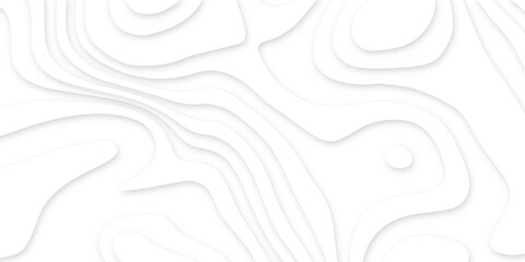 Fototapeta premium Abstract wavy line 3d paper cut white background. Topographic canyon geometric map relief texture with curved layers and shadow. Abstract realistic papercut decoration textured with wavy layers