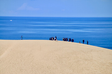 鳥取砂丘（鳥取県・鳥取市）