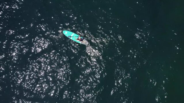 SUP board sailing on the sea