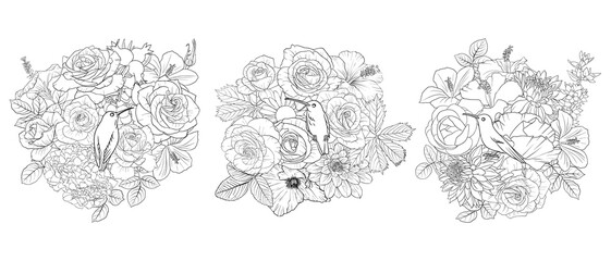 vector drawing natural background with hummingbird and flowers, black and white coloring page, hand drawn illustration