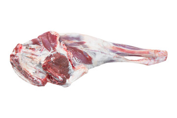 Fresh raw lamb leg isolated on white background. Fresh lamb meat isolated.