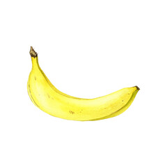watercolor drawing yellow banana , fruit isolated at white background, hand drawn illustration