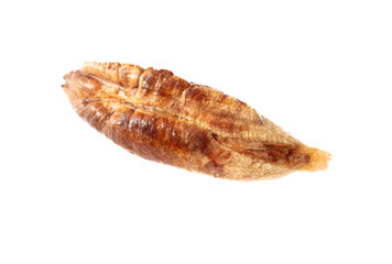 Date pits isolated on white background.