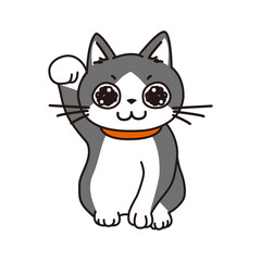 招き猫のポーズをするキラキラした瞳のハチワレ猫
