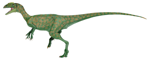 リリエンステルヌス（Liliensternus）は三畳紀後期（2億1000万年前）に現在のドイツに生息していたコエロフィシス上科（Coelophysoidea）の獣脚類恐竜の絶滅属の一つである。中型（体長約5 m）で二足歩行の地上性捕食者であった。ヨーロッパで発見された三畳紀の獣脚類としては既知では最も完全で、最大のものの一つである。化石は幼体、もしくは亜成体であった。 - obrazy, fototapety, plakaty