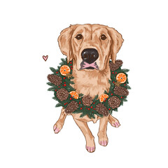 dog retriever illustration, new year artwork, christmas sketch, puppy in a wreath, digital drawing golden labrador