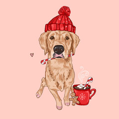dog retriever illustration, new year artwork, christmas sketch, puppy with cocoa and cookies, candy cane, digital drawing golden labrador