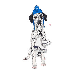 Dalmatian dog illustration, New Year artwork, Christmas sketch, puppy with skates in a hat, digital drawing