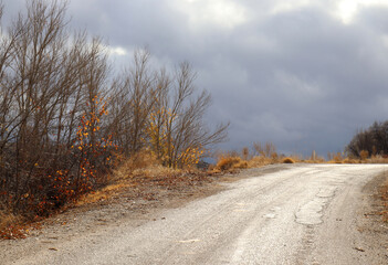 Obraz na płótnie Canvas dramatic sky, rural road and bare trees
