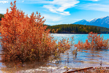  Abraham Lake