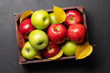 Red and green garden apples