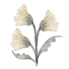 Obraz premium Plant Watercolor Clipart