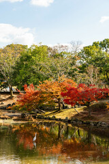 池に映る紅葉と一羽の白いサギ(縦型）