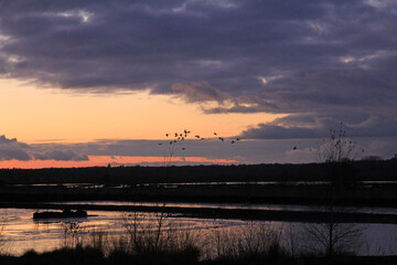 Himmelmoorlandschaft am frühen Abend bei Quickborn in Schleswig-Holstein 