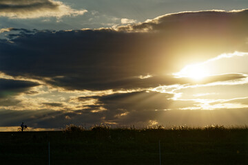 Fototapeta premium 夕日を浴びて