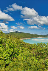 Fototapeta na wymiar Aerial view of Whitehaven Beach and Hill Inlet estuary. Tropical beach paradise background of turquoise blue water and Coral Sea beach - Australia