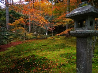 京都　三千院の有清園と灯篭