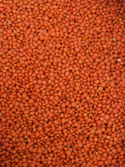 red lentils in the market