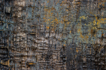 Old rough and burned wooden texture background
