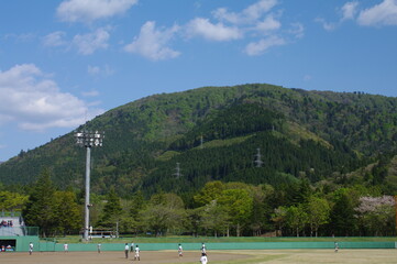 Fototapeta premium watching baseball in japan