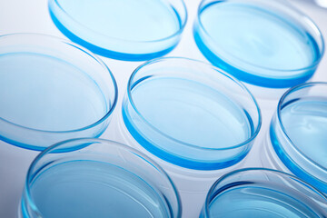 laboratory experiment