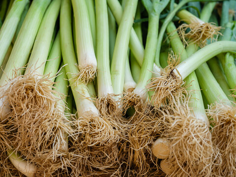 Fresh Leeks At The Market